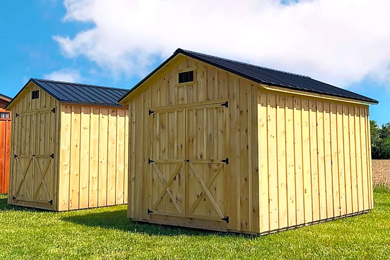 KilnDried Pine Sheds Gigglin' Pig