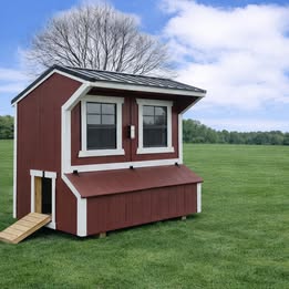 6' x 8' Chicken Coop