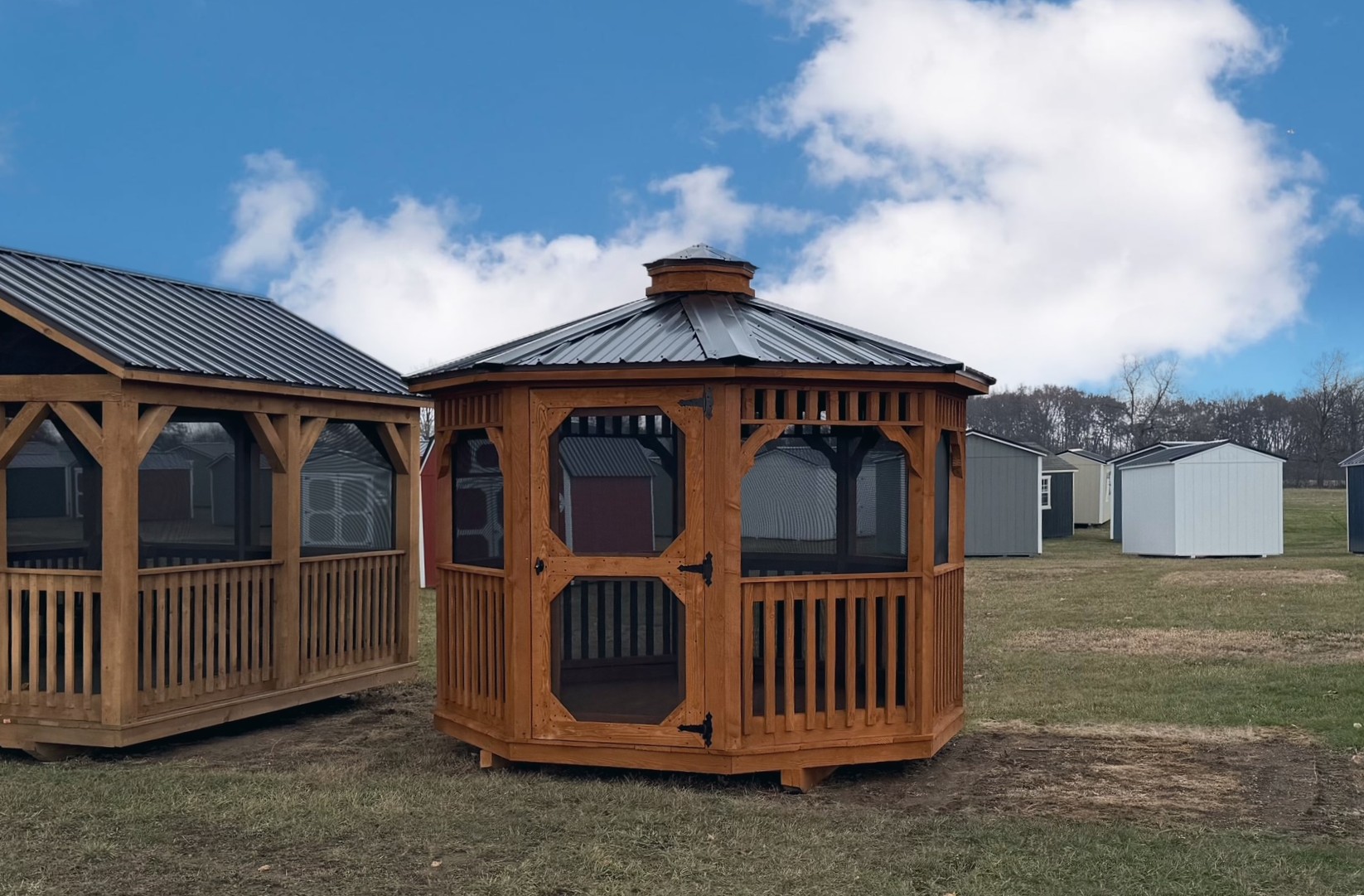 10' x 10' Octagon Gazebo w/Screens
